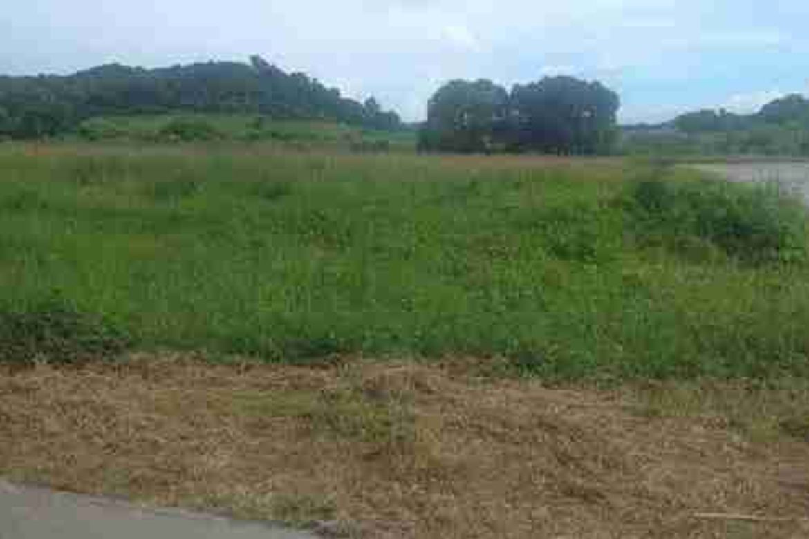 Land for Sale in Bagong Silang, Calatagan, Batangas – photo 2