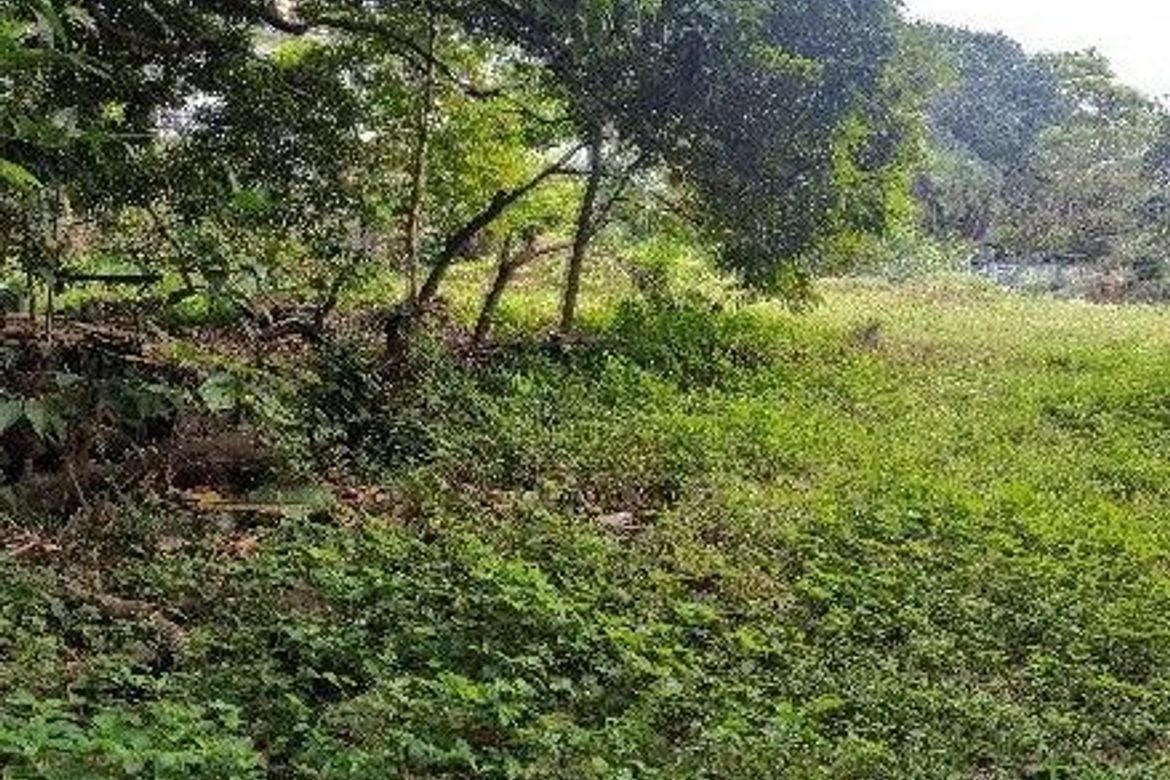 Land for Sale in Bagong Silangan, Quezon City, Metro Manila – photo 2