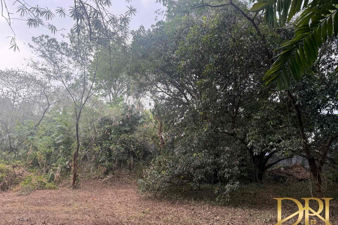 Land for Sale in Bagong Silangan, Quezon City, Metro Manila – photo 5