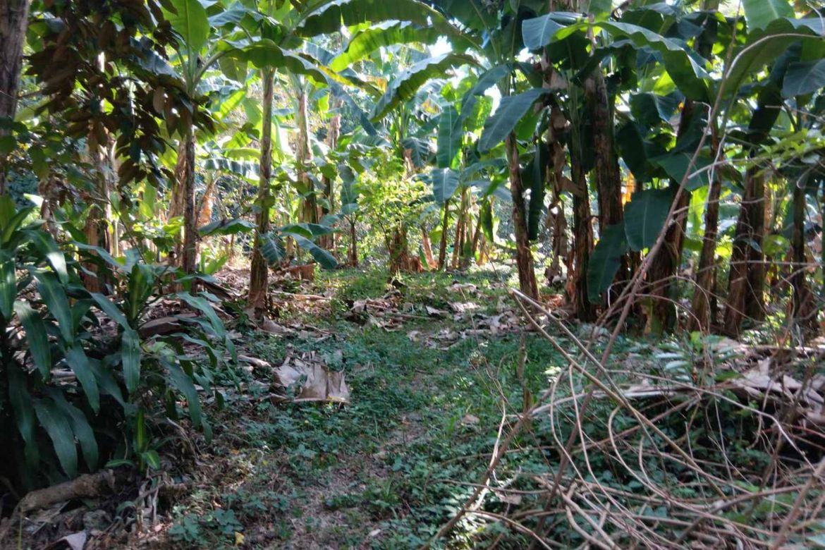 Land for Sale in Bagong Silangan, Quezon City, Metro Manila – photo 5