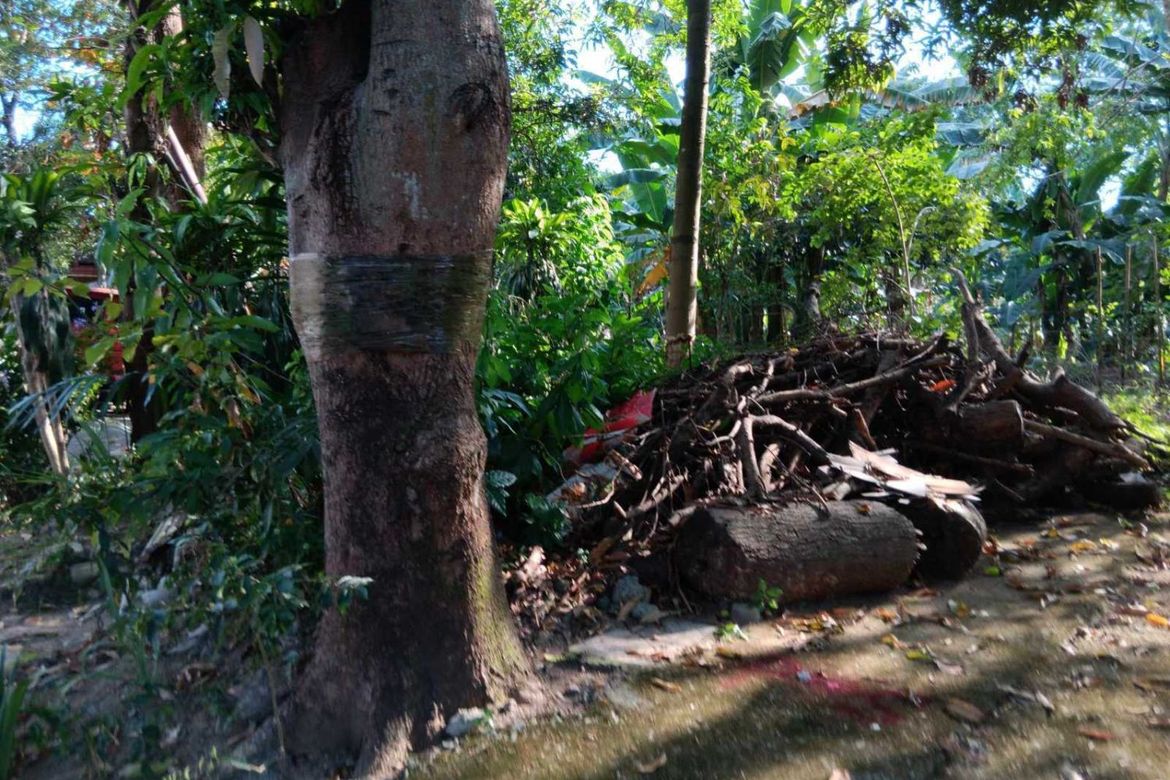 Land for Sale in Bagong Silangan, Quezon City, Metro Manila – photo 7