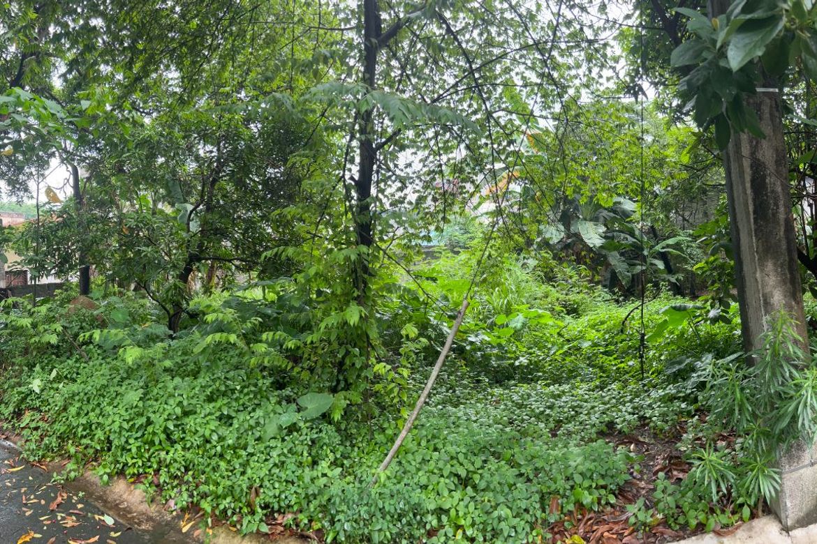 Land for Sale in Bagong Silangan, Quezon City, Metro Manila – photo 2