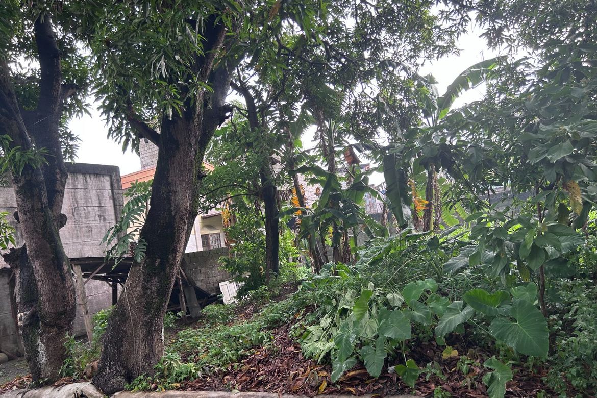 Land for Sale in Bagong Silangan, Quezon City, Metro Manila – photo 3
