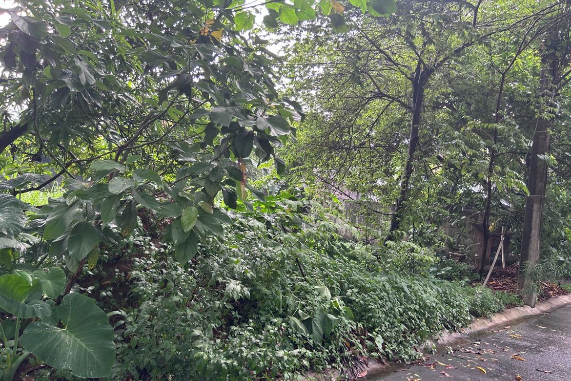 Land for Sale in Bagong Silangan, Quezon City, Metro Manila – photo 5