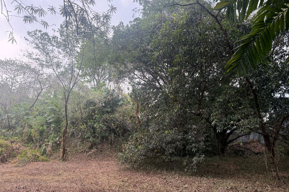 Land for Sale in Bagong Silangan, Quezon City, Metro Manila – photo 4