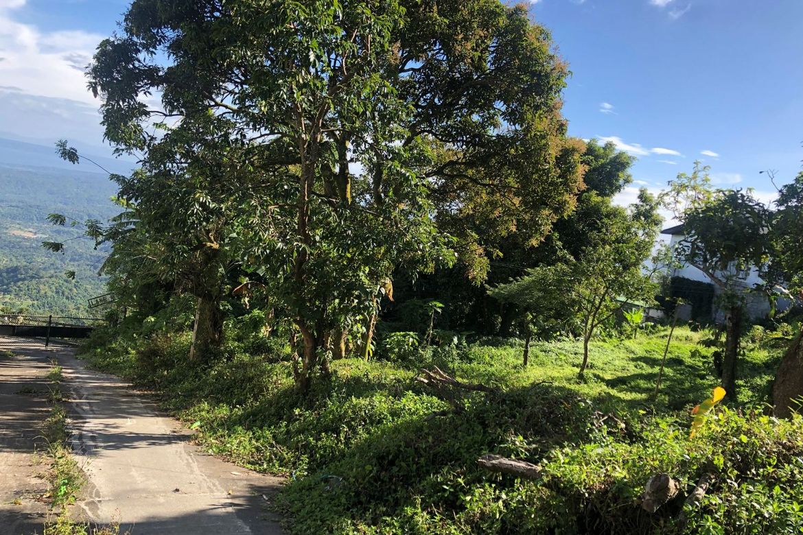 Land for Sale in Bagong Tubig, Tagaytay, Cavite – photo 3
