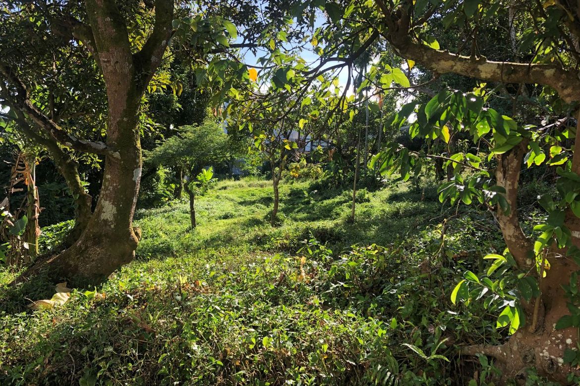 Land for Sale in Bagong Tubig, Tagaytay, Cavite – photo 4