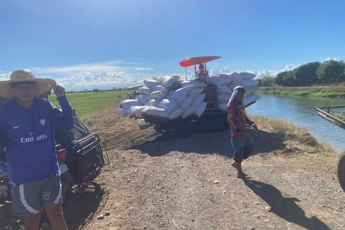 Land for Sale in Bagumbayan, Llanera, Nueva Ecija