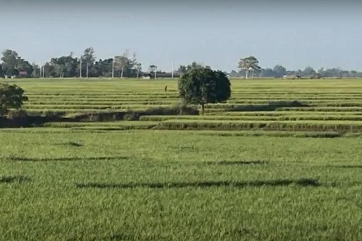 Land for Sale in Bagumbayan, Llanera, Nueva Ecija – photo 4