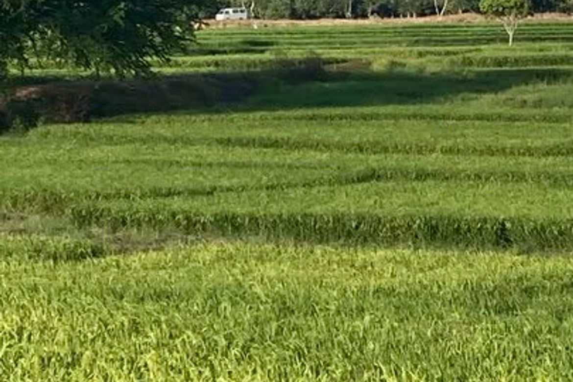 Land for Sale in Bagumbayan, Llanera, Nueva Ecija – photo 7
