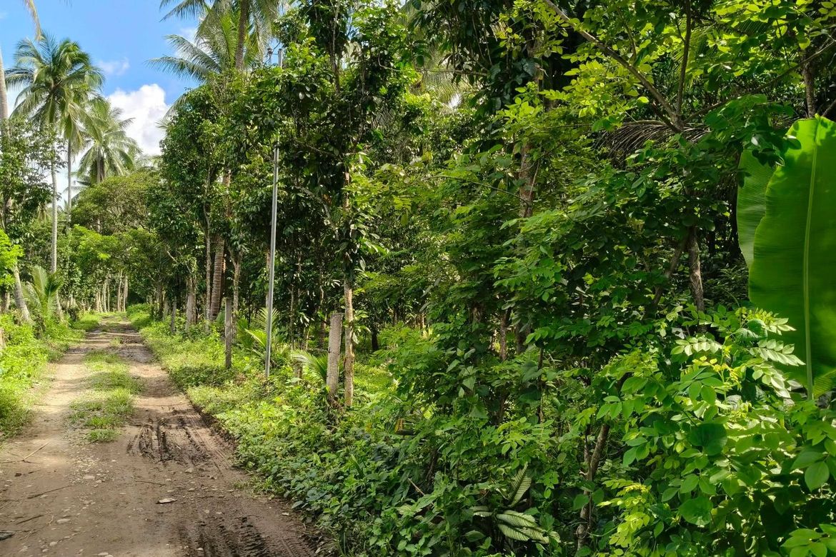 Land for Sale in Bagumbayan, Santa Maria, Laguna