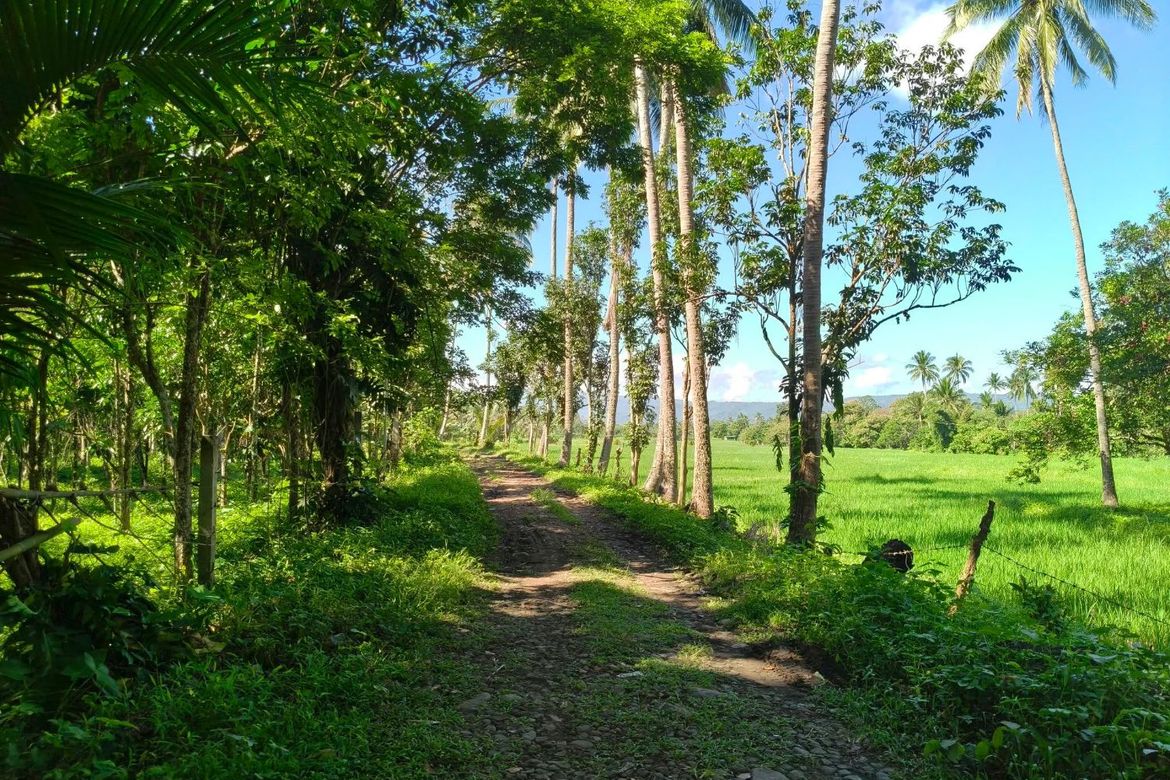 Land for Sale in Bagumbayan, Santa Maria, Laguna – photo 2