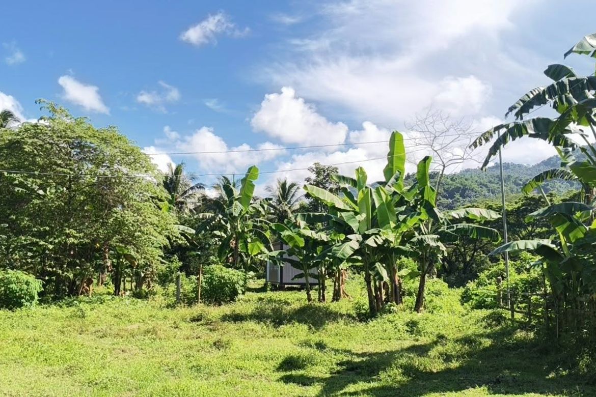 Land for Sale in Bagumbayan, Santa Maria, Laguna – photo 5