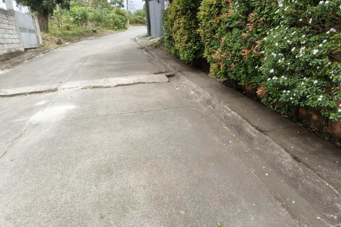 Land for Sale in Bagumbayan, Teresa, Rizal – photo 3