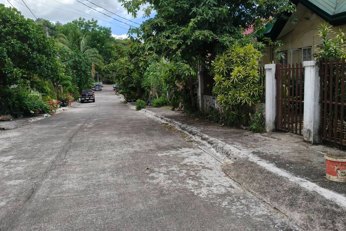 Land for Sale in Bagumbayan, Teresa, Rizal – photo 3