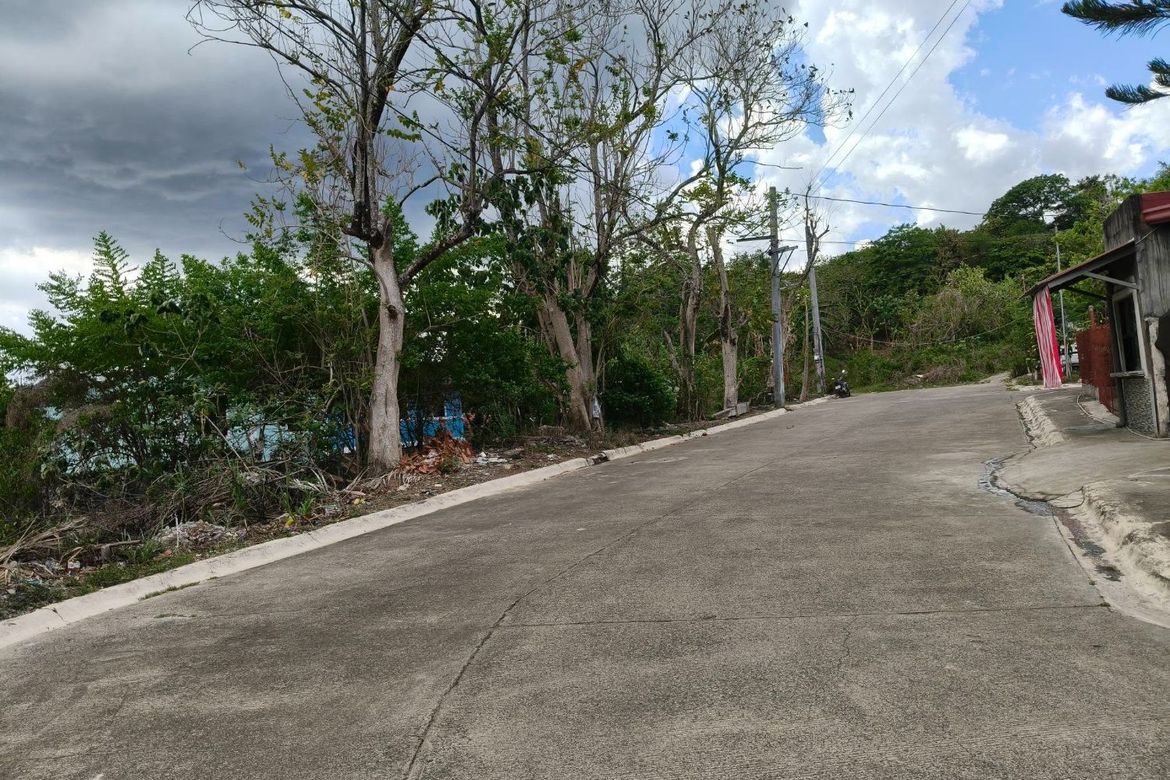 Land for Sale in Bagumbayan, Teresa, Rizal – photo 4