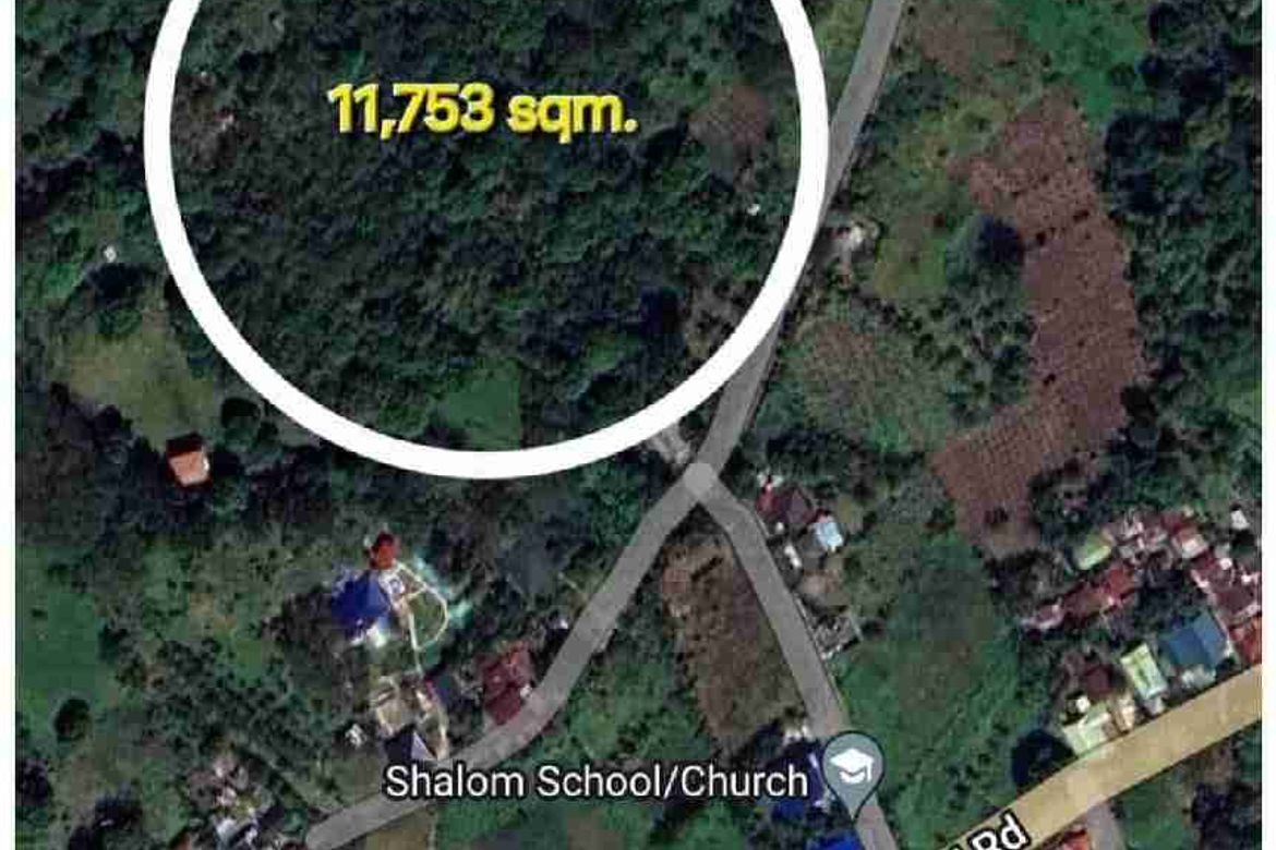 Land for Sale in Bagumbong, Jala-Jala, Rizal – photo 2