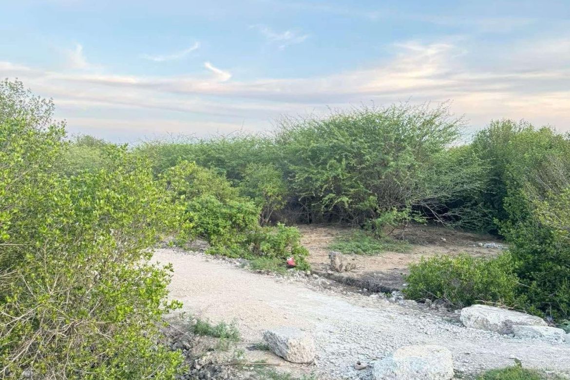Land for Sale in Bahay, Sibonga, Cebu – photo 2