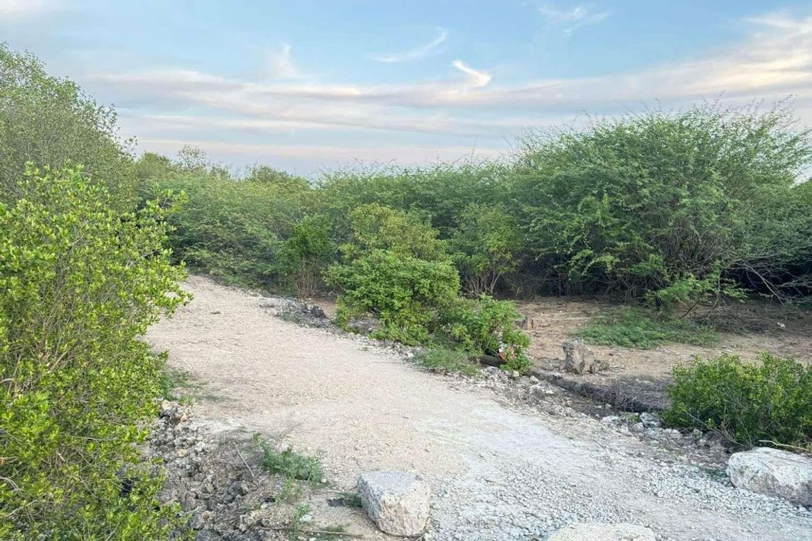 Land for Sale in Bahay, Sibonga, Cebu – photo 3