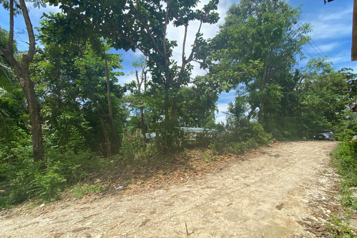 Land for Sale in Bahay, Sibonga, Cebu – photo 2