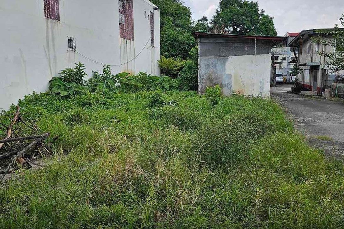 Land for Sale in Bahay Toro, Quezon City, Metro Manila – photo 7
