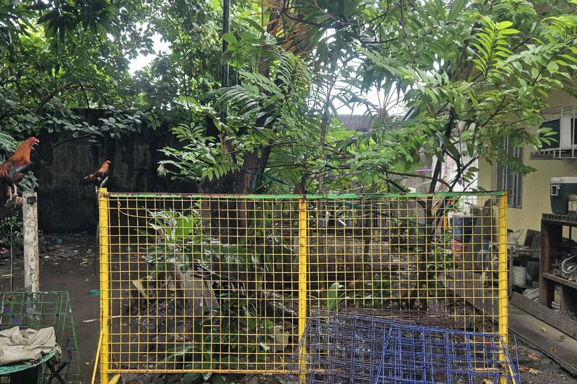 Land for Sale in Bahay Toro, Quezon City, Metro Manila near LRT-1 Roosevelt – photo 7
