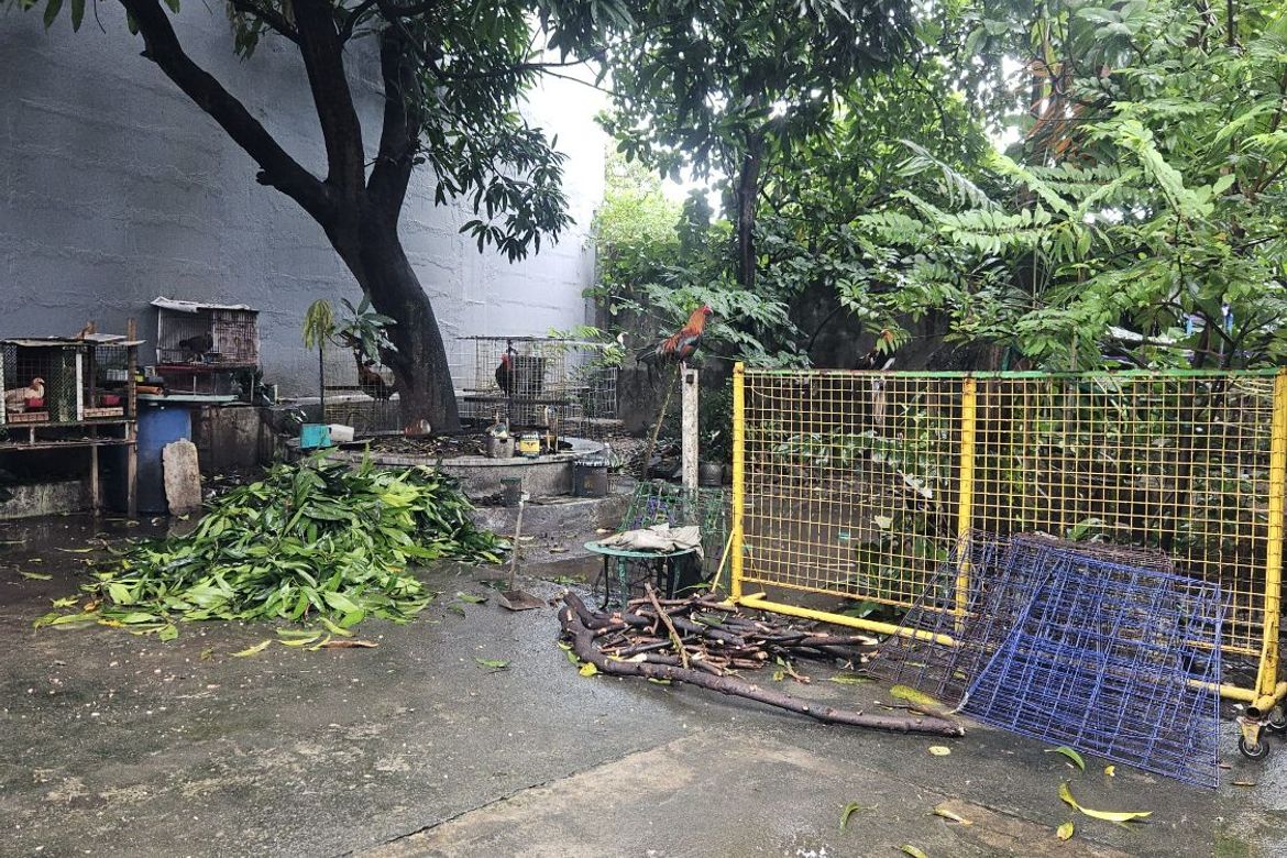 Land for Sale in Bahay Toro, Quezon City, Metro Manila near LRT-1 Roosevelt – photo 8