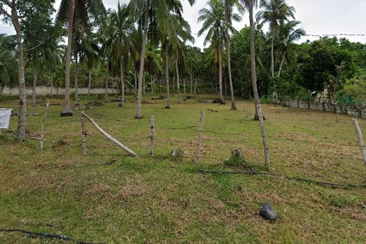 Land for Sale in Bahi, Alburquerque, Bohol