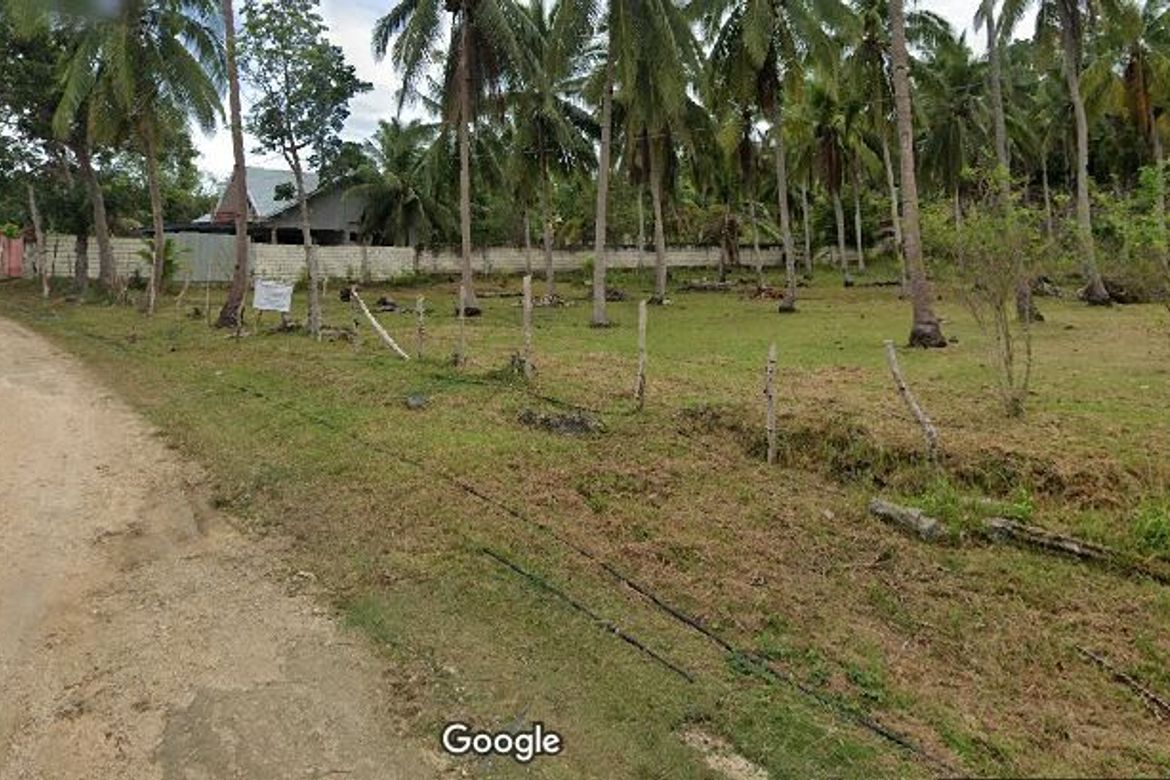 Land for Sale in Bahi, Alburquerque, Bohol – photo 2
