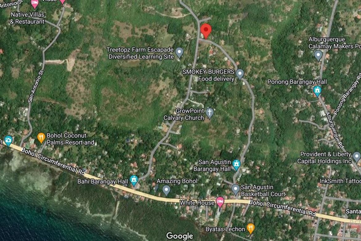 Land for Sale in Bahi, Alburquerque, Bohol – photo 3