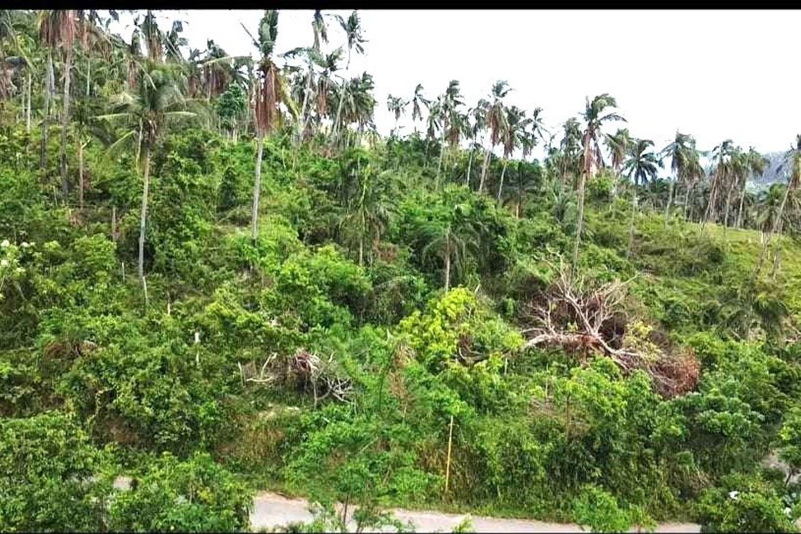 Land for Sale in Bairan, Naga, Cebu – photo 6