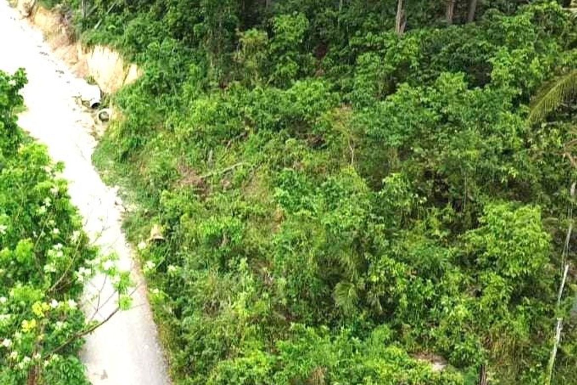 Land for Sale in Bairan, Naga, Cebu – photo 7