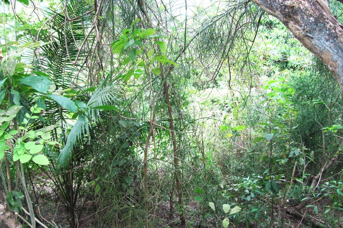 Land for Sale in Bairan, Naga, Cebu – photo 8
