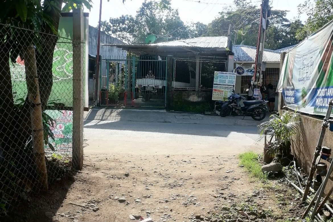 Land for Sale in Bajumpandan, Dumaguete, Negros Oriental – photo 2