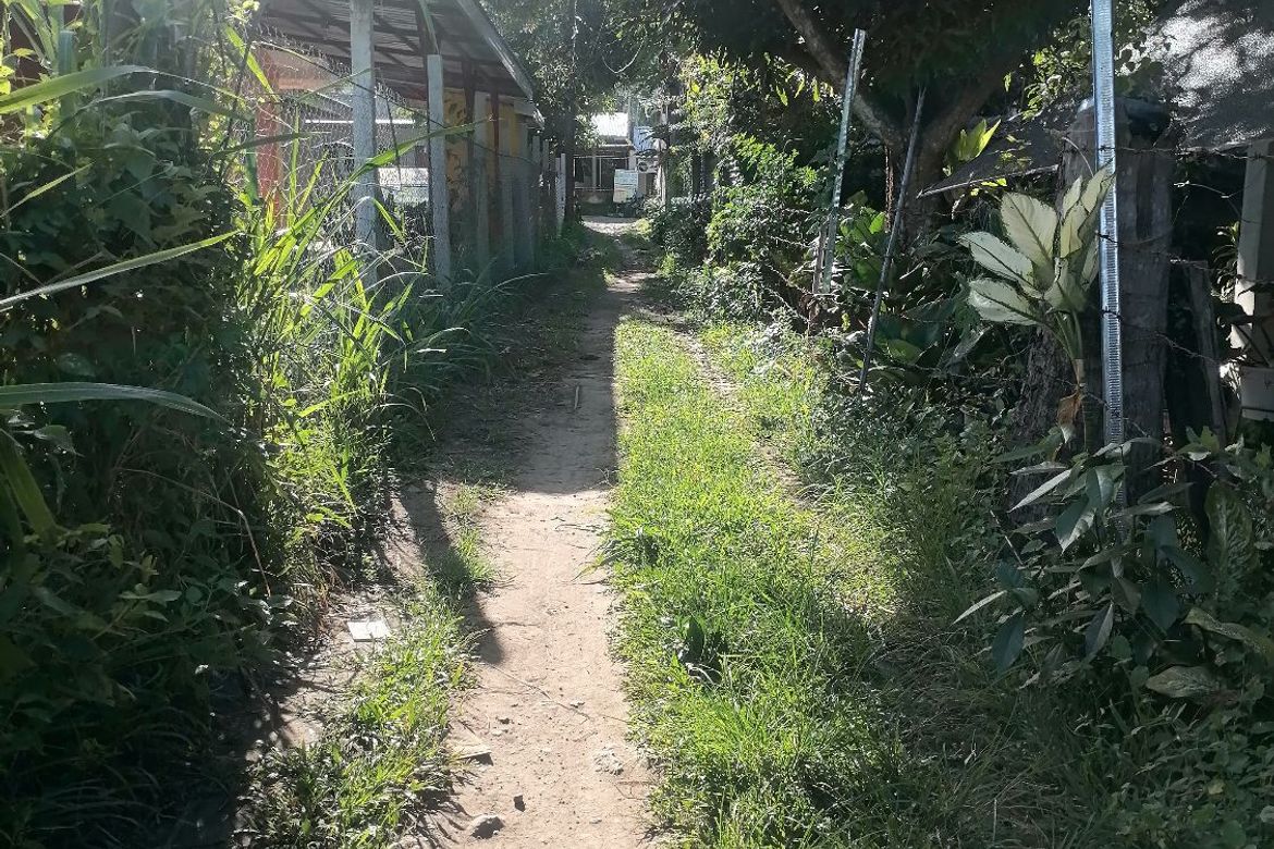 Land for Sale in Bajumpandan, Dumaguete, Negros Oriental – photo 4