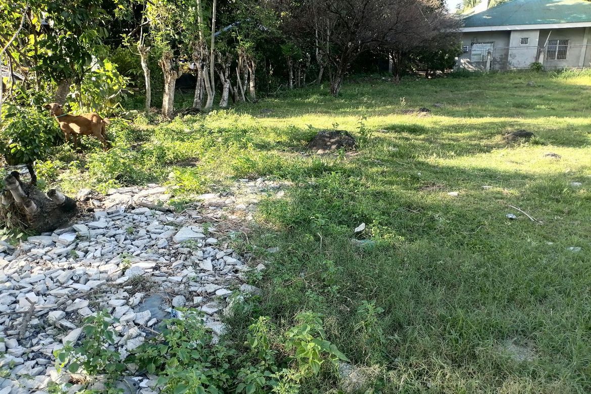 Land for Sale in Bajumpandan, Dumaguete, Negros Oriental – photo 7