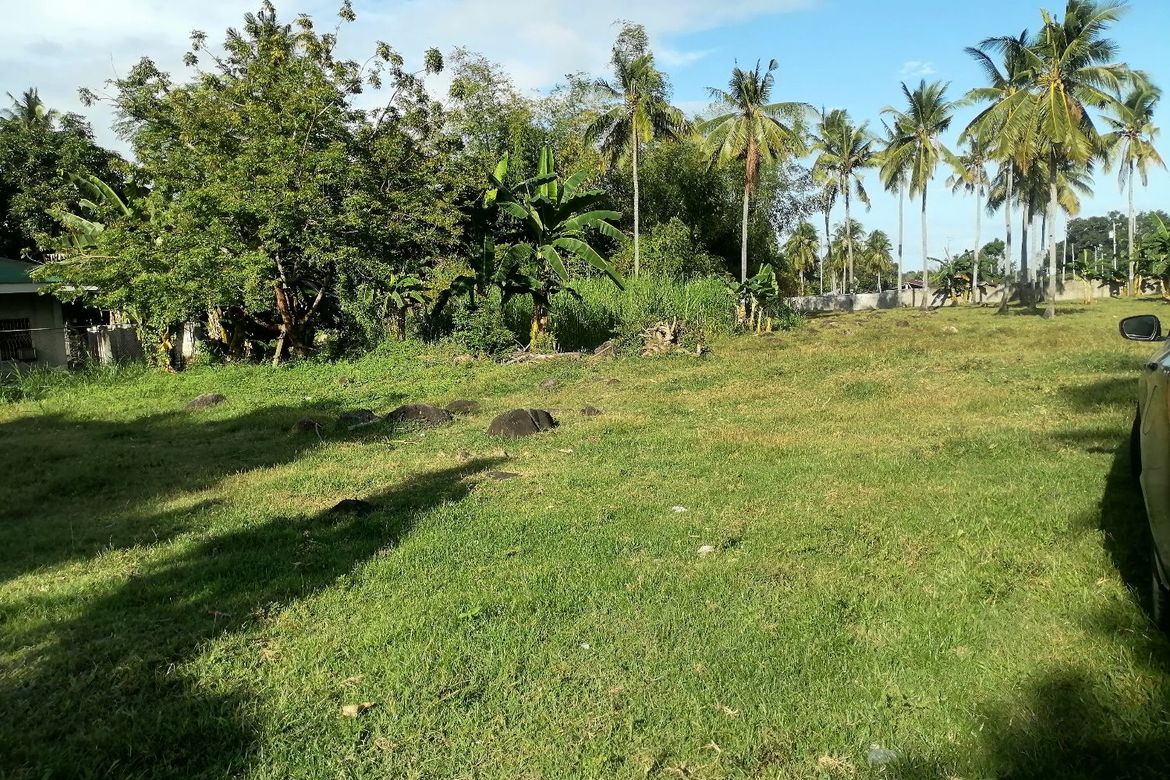 Land for Sale in Bajumpandan, Dumaguete, Negros Oriental – photo 8