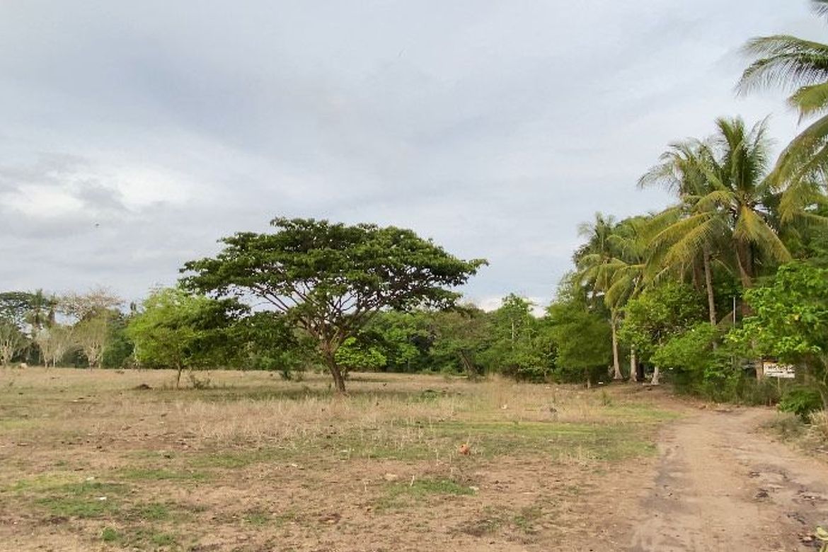 Land for Sale in Bajumpandan, Dumaguete, Negros Oriental – photo 3