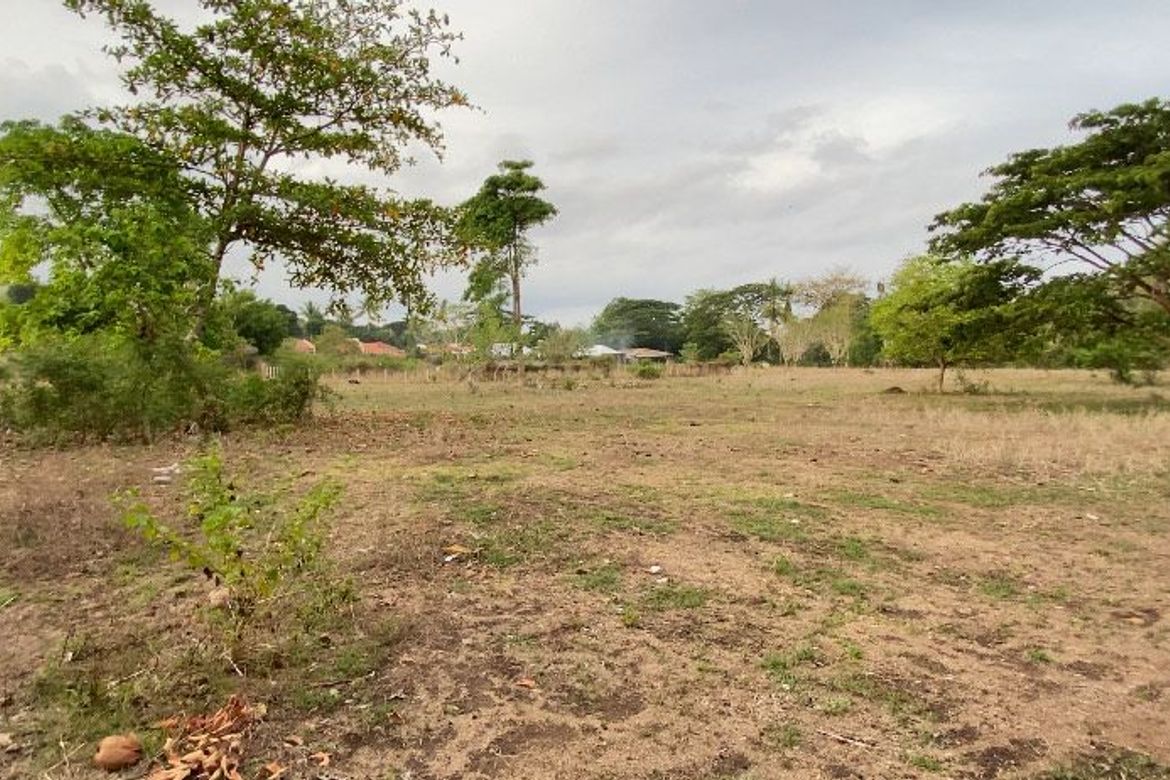 Land for Sale in Bajumpandan, Dumaguete, Negros Oriental – photo 4