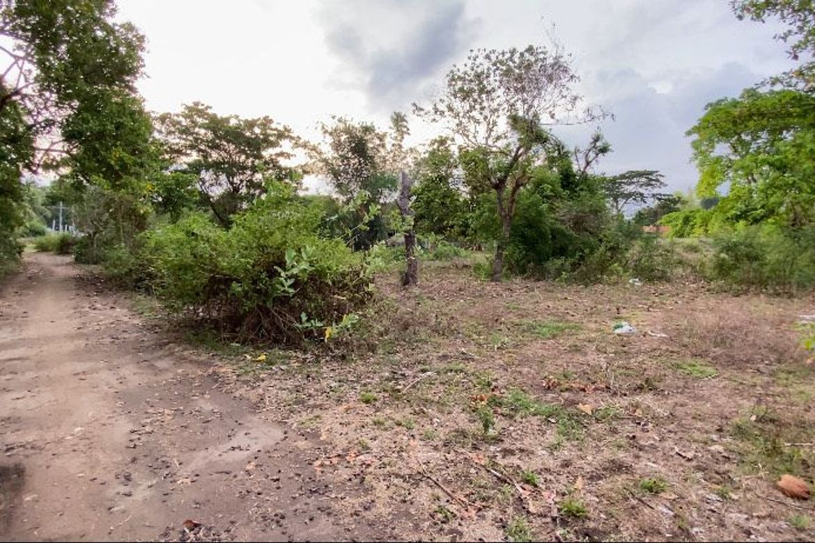 Land for Sale in Bajumpandan, Dumaguete, Negros Oriental – photo 5