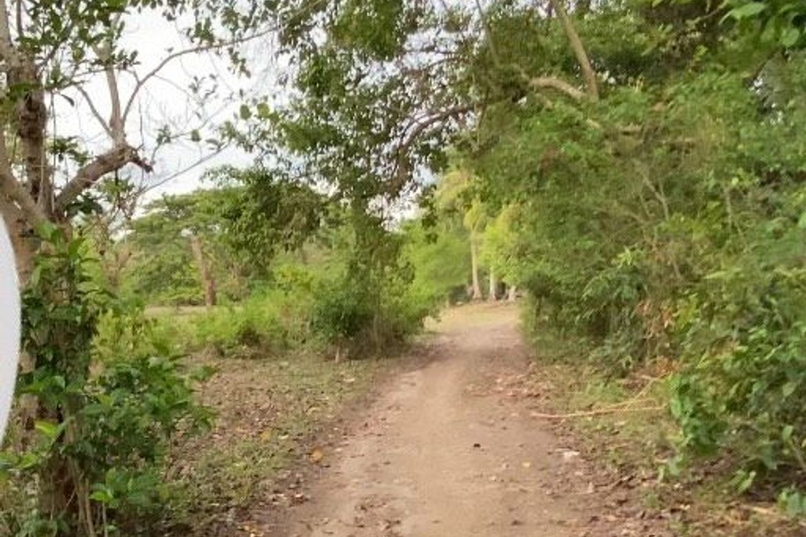 Land for Sale in Bajumpandan, Dumaguete, Negros Oriental – photo 7