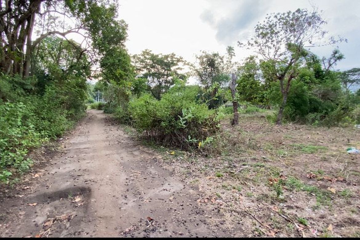 Land for Sale in Bajumpandan, Dumaguete, Negros Oriental – photo 8