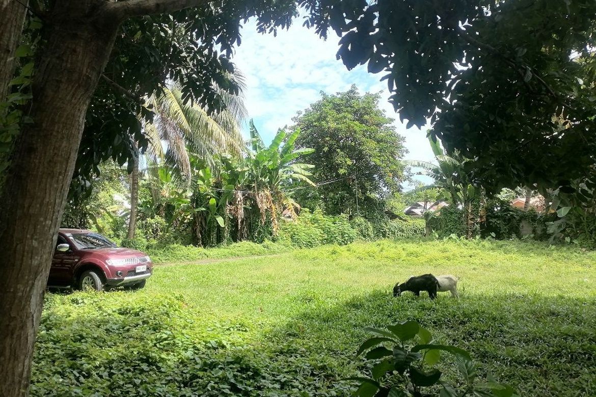 Land for Sale in Bajumpandan, Dumaguete, Negros Oriental