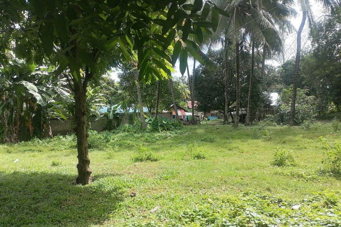 Land for Sale in Bajumpandan, Dumaguete, Negros Oriental – photo 2