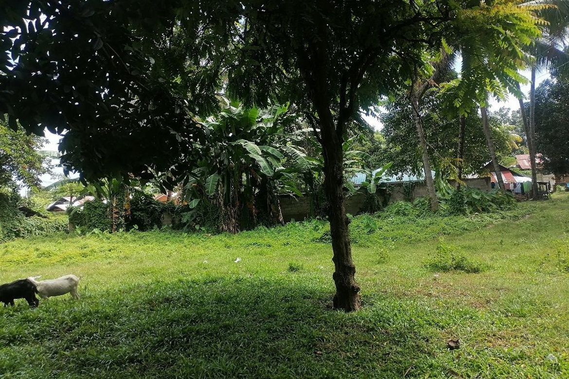 Land for Sale in Bajumpandan, Dumaguete, Negros Oriental – photo 3