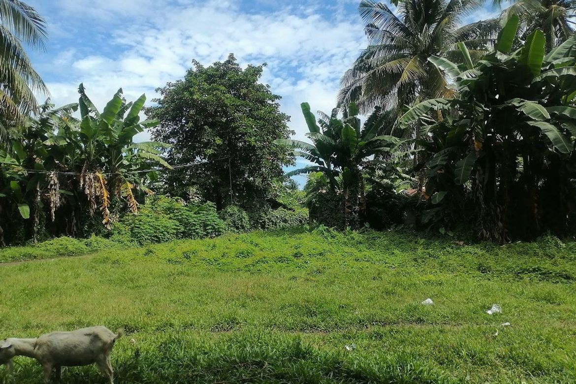 Land for Sale in Bajumpandan, Dumaguete, Negros Oriental – photo 4