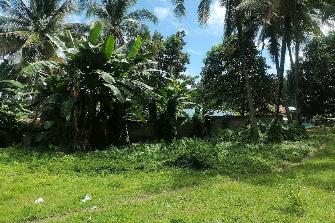 Land for Sale in Bajumpandan, Dumaguete, Negros Oriental – photo 5