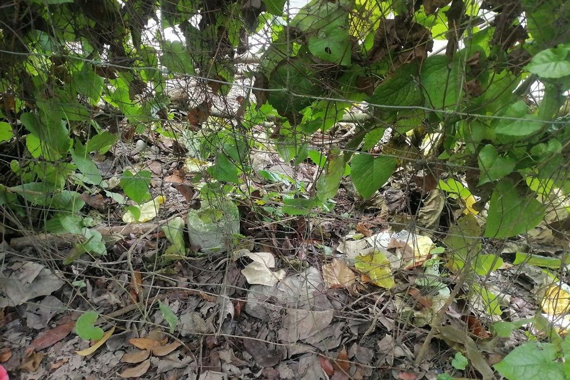 Land for Sale in Bajumpandan, Dumaguete, Negros Oriental – photo 6