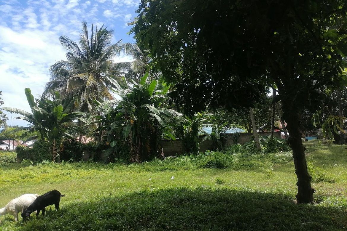 Land for Sale in Bajumpandan, Dumaguete, Negros Oriental – photo 7