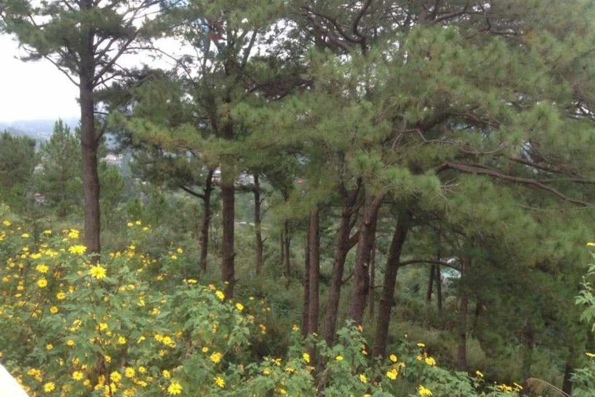 Land for Sale in Bakakeng Central, Baguio, Benguet – photo 2